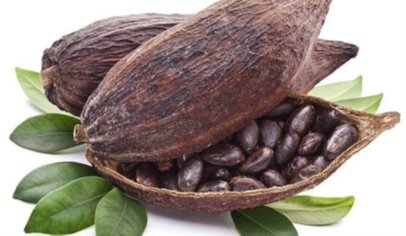The risks and tricks associated with loading cocoa beans in containers