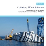 Module 6: Collision, FFO and Pollution Risks.