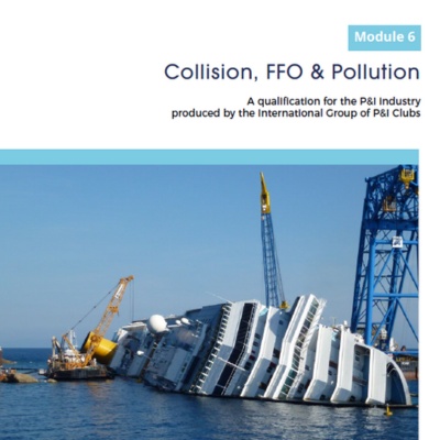 Module 6: Collision, FFO and Pollution Risks.